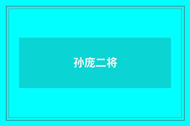 孙庞二将