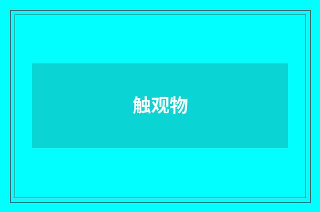 触观物