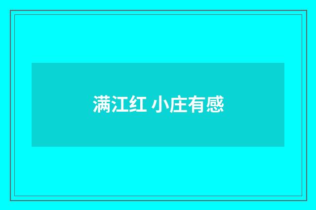 满江红 小庄有感