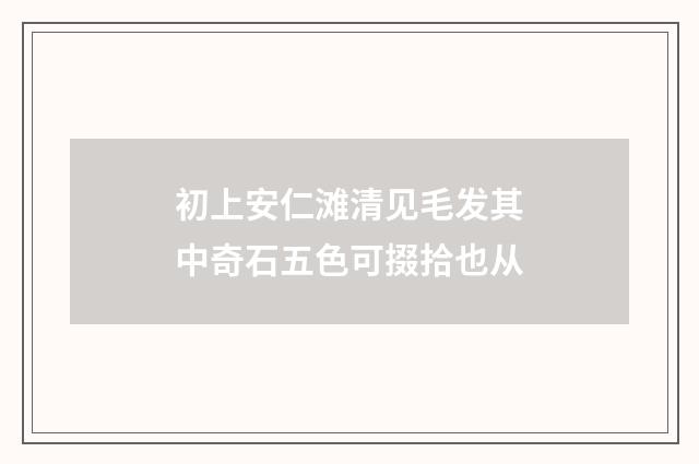 初上安仁滩清见毛发其中奇石五色可掇拾也从