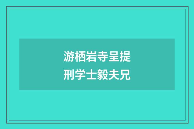 游栖岩寺呈提刑学士毅夫兄