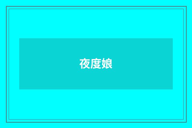 夜度娘