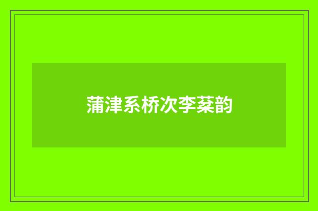 蒲津系桥次李棻韵