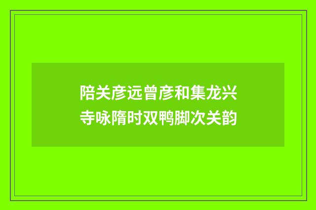 陪关彦远曾彦和集龙兴寺咏隋时双鸭脚次关韵