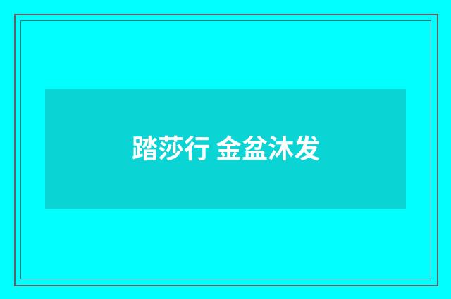 踏莎行 金盆沐发