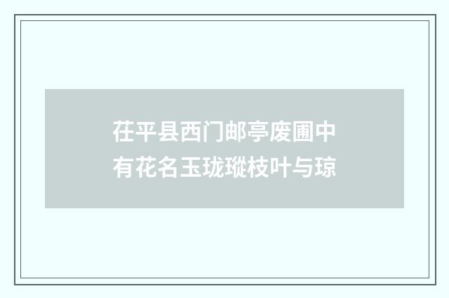 茌平县西门邮亭废圃中有花名玉珑瑽枝叶与琼