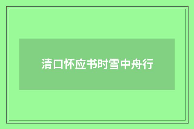 清口怀应书时雪中舟行