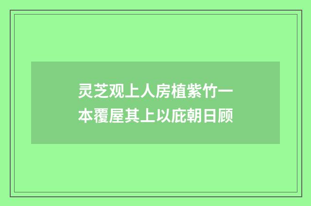 灵芝观上人房植紫竹一本覆屋其上以庇朝日顾