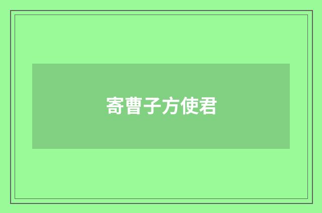 寄曹子方使君