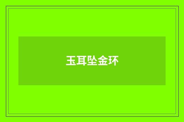 玉耳坠金环