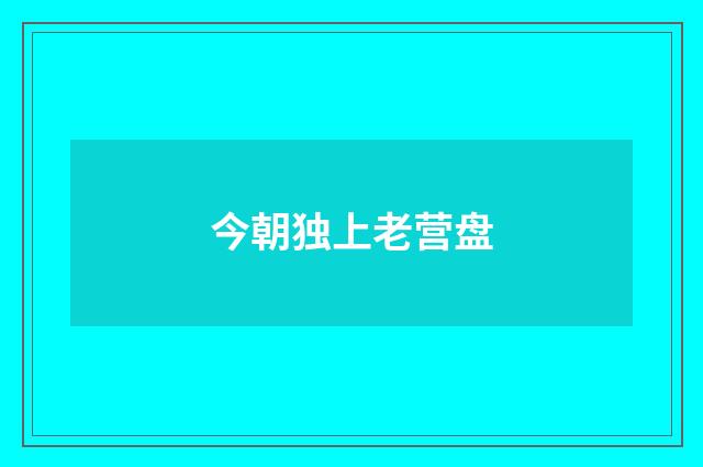 今朝独上老营盘