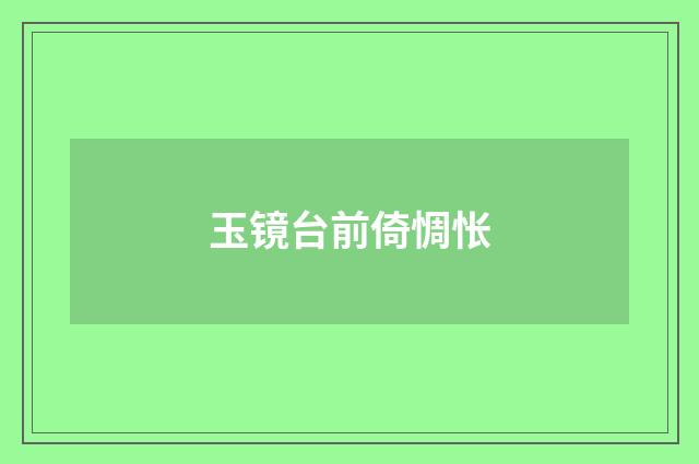 玉镜台前倚惆怅