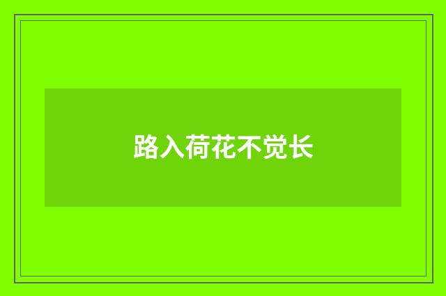 路入荷花不觉长