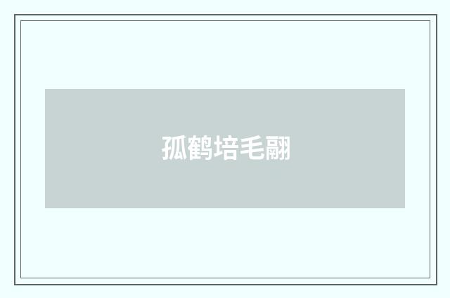 孤鹤培毛翮