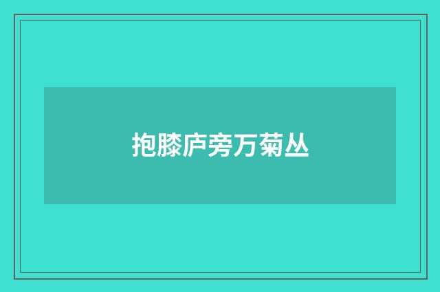 抱膝庐旁万菊丛