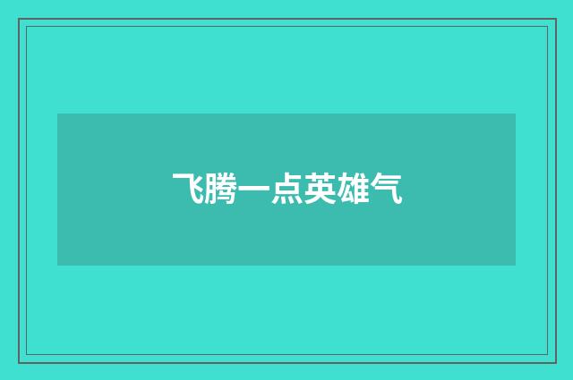 飞腾一点英雄气