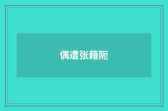 偶遭张藉阨