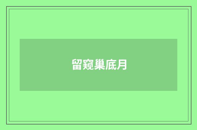 留窥巢底月