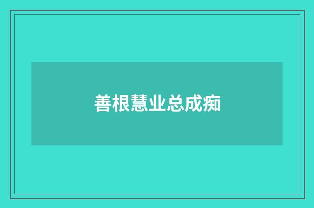 善根慧业总成痴