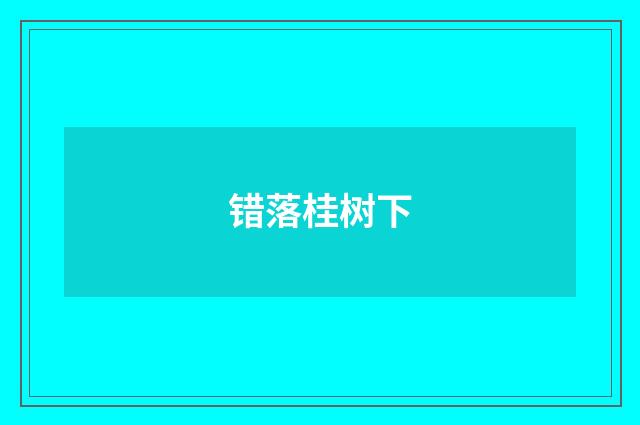 错落桂树下