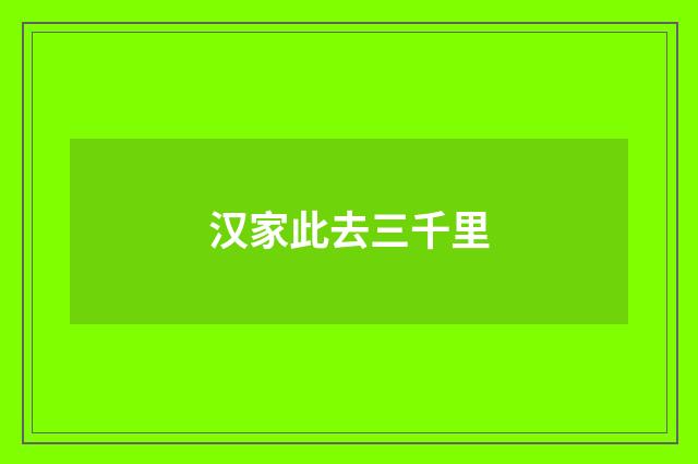 汉家此去三千里