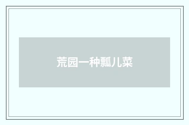 荒园一种瓢儿菜
