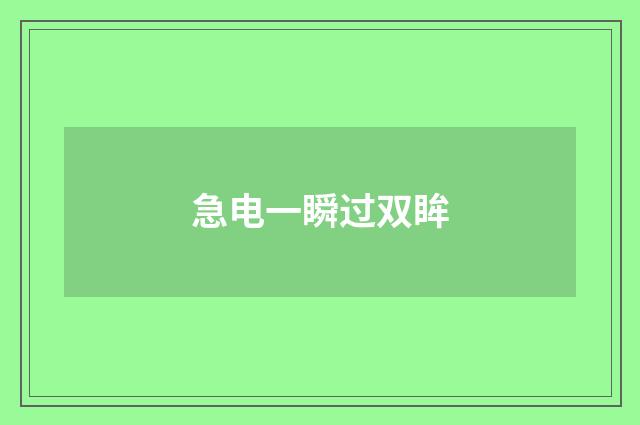急电一瞬过双眸