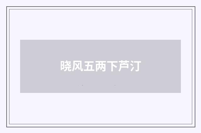 晓风五两下芦汀