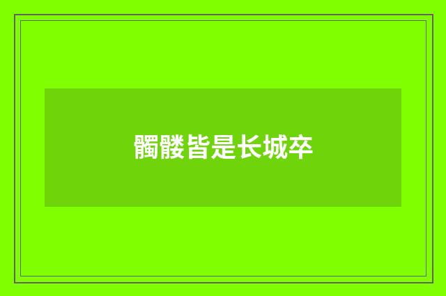 髑髅皆是长城卒