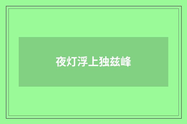 夜灯浮上独兹峰