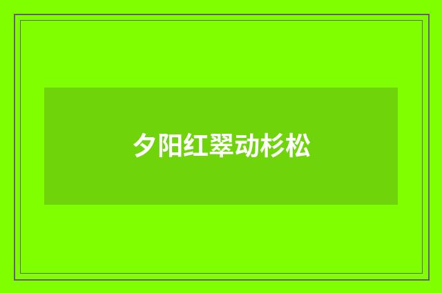 夕阳红翠动杉松