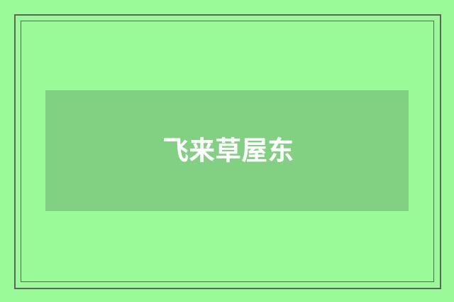 飞来草屋东
