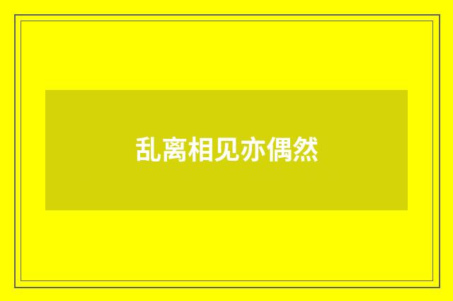 乱离相见亦偶然