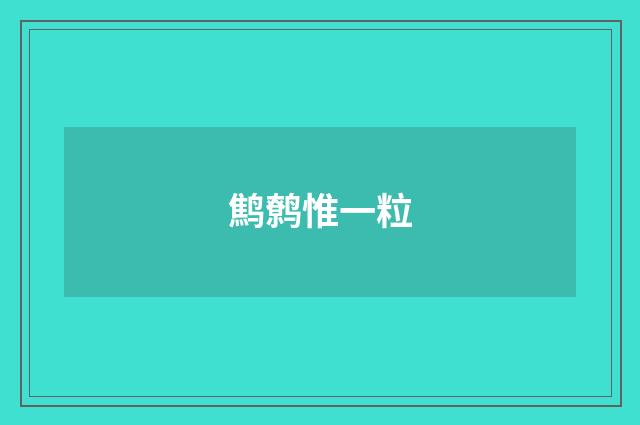 鹪鹩惟一粒