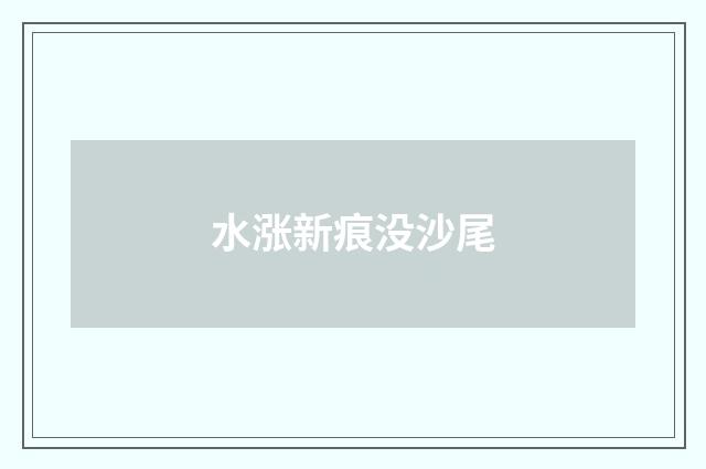 水涨新痕没沙尾