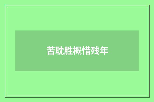 苦耽胜概惜残年