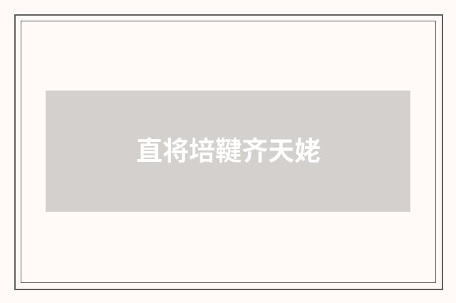 直将培鞬齐天姥