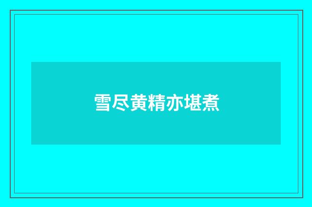 雪尽黄精亦堪煮