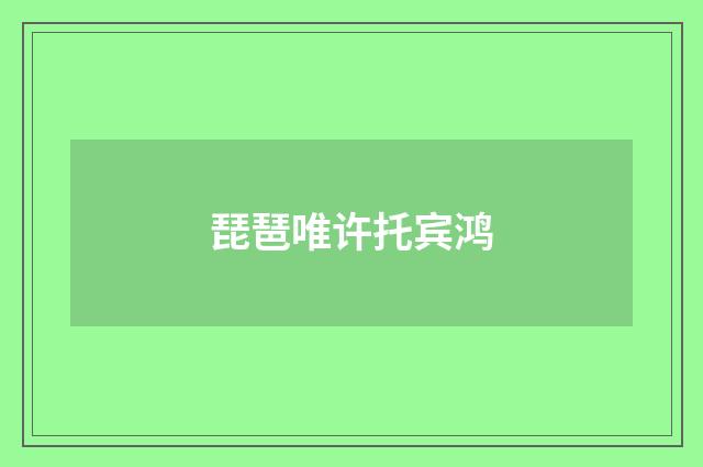 琵琶唯许托宾鸿