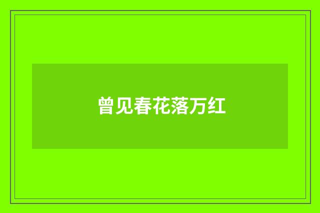 曾见春花落万红