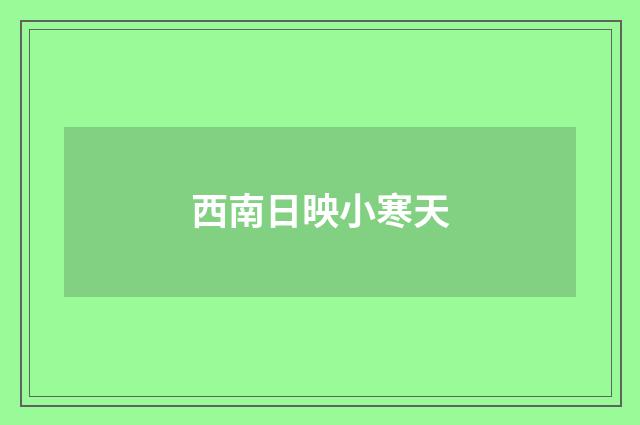 西南日映小寒天