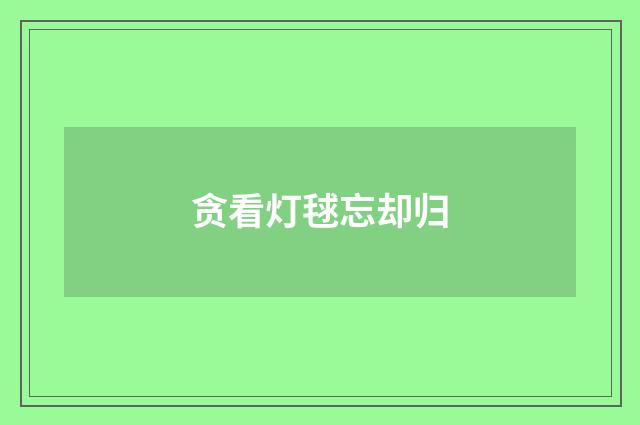 贪看灯毬忘却归
