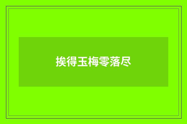 挨得玉梅零落尽