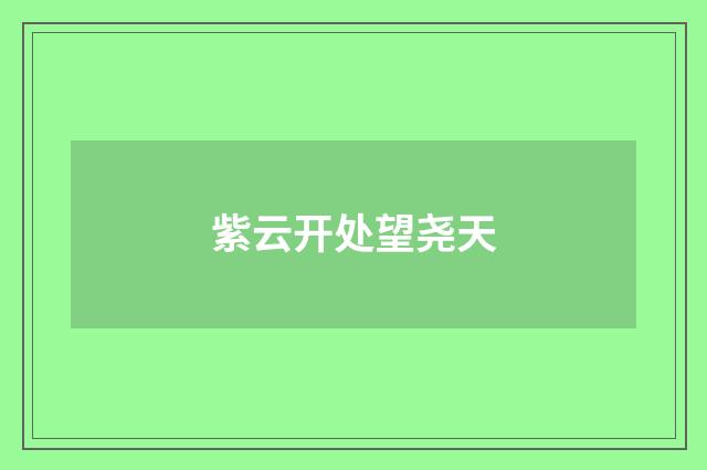 紫云开处望尧天