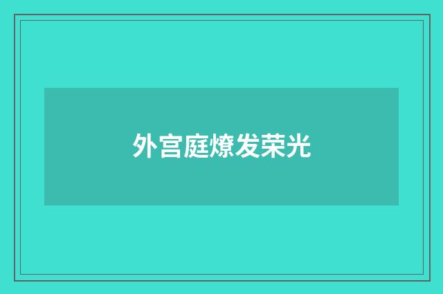 外宫庭燎发荣光