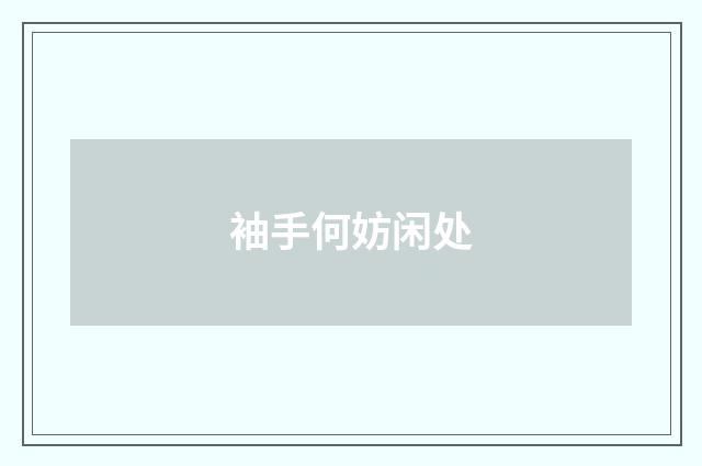 袖手何妨闲处