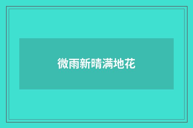 微雨新晴满地花