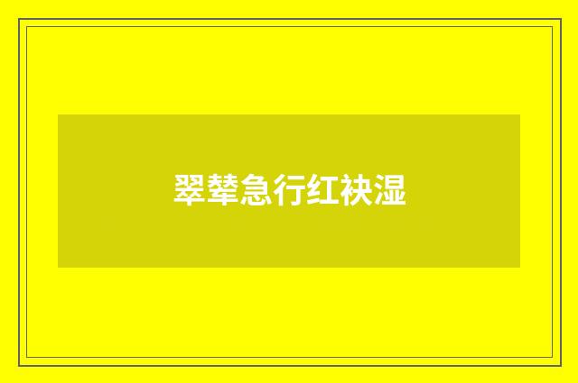 翠辇急行红袂湿