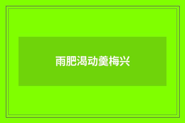 雨肥渴动羹梅兴