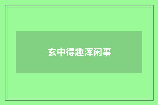 玄中得趣浑闲事